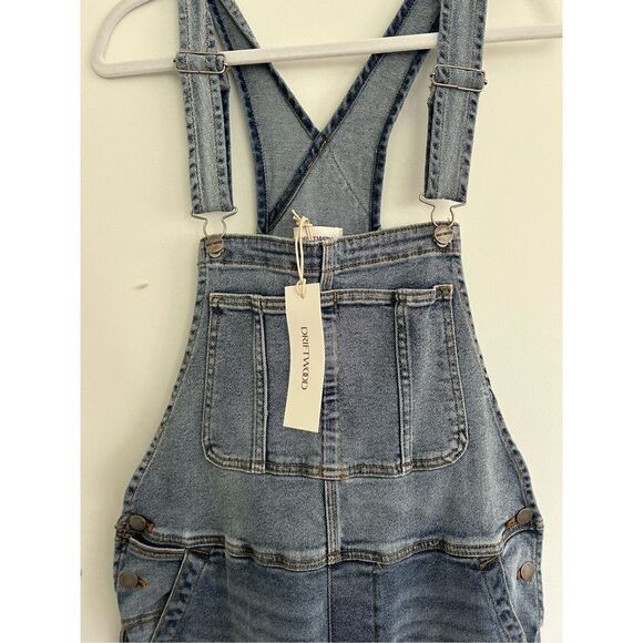 Driftwood Brady Boyfriend Overalls Feathery Leaf Blue Women's Size Large - Picture 11 of 11